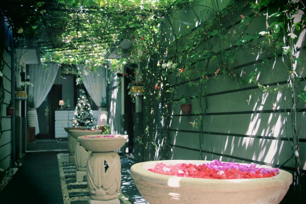 The Nakula Villas Kuta Lombok Pokoj fotografie